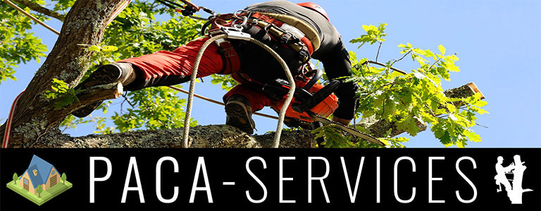 PACA Services Elagage et Services en région PACA